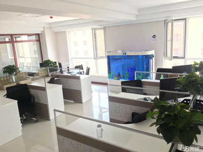 北京博融泰普惠信息咨詢 專業服務構筑信息橋梁